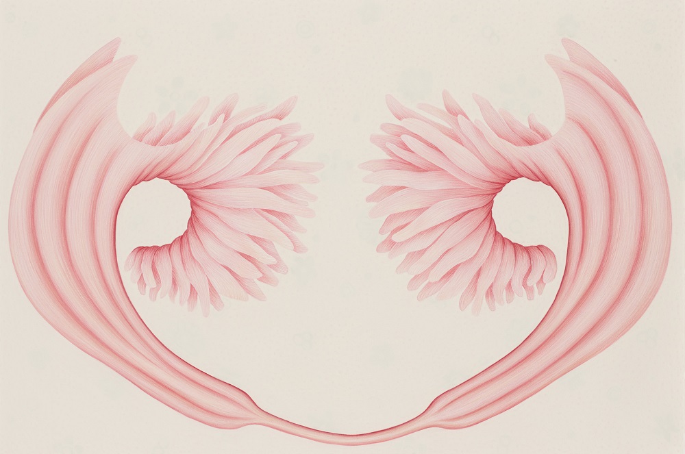 Filomena Coppola, Mother Tongue- Romulus and Remus, 2014, pastel on paper, 80 x 120cm $6000