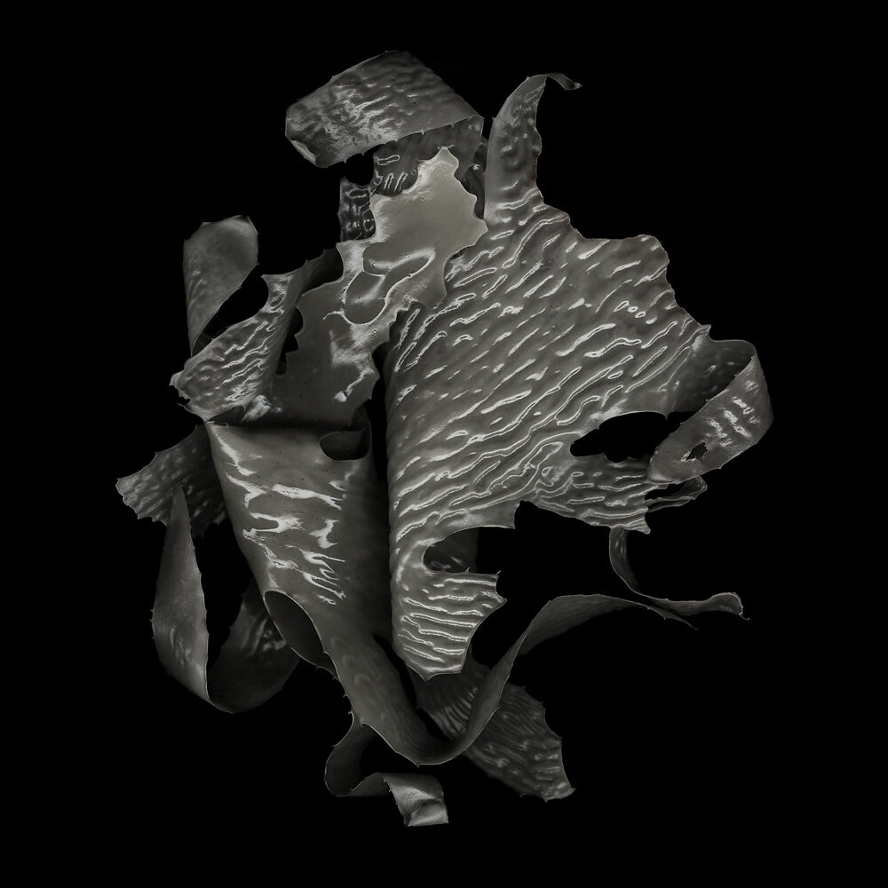 Greg Elms, Leather Kelp-1-Ecklonia Radiata, 2019, Ed 10, archival inkjet print, 94 x 94 cm framed $2200